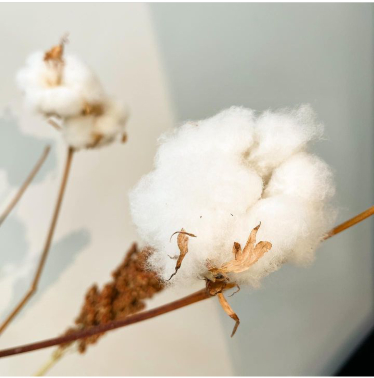 🍁ふわふわり🍁 スティックサイズ